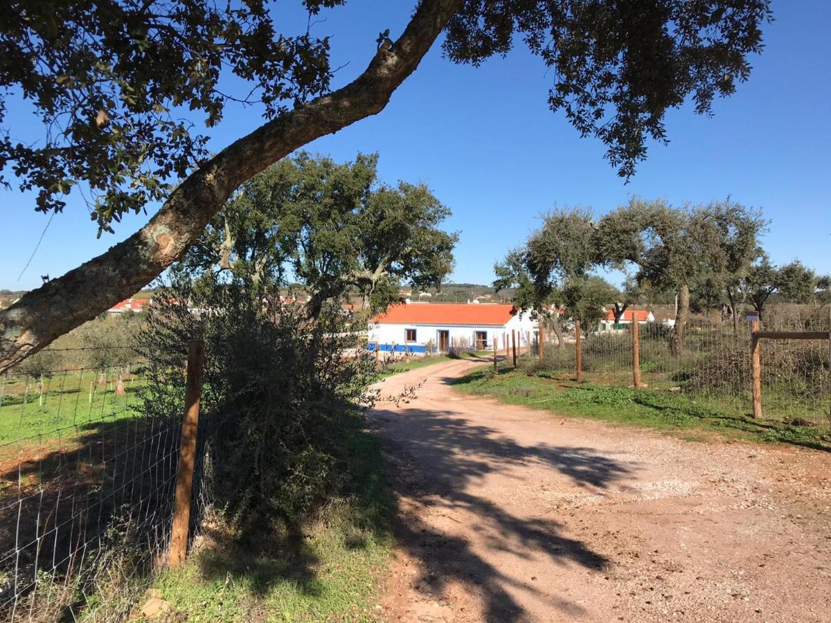 Herdade Da Maridona - Agroturismo Эштремош Экстерьер фото
