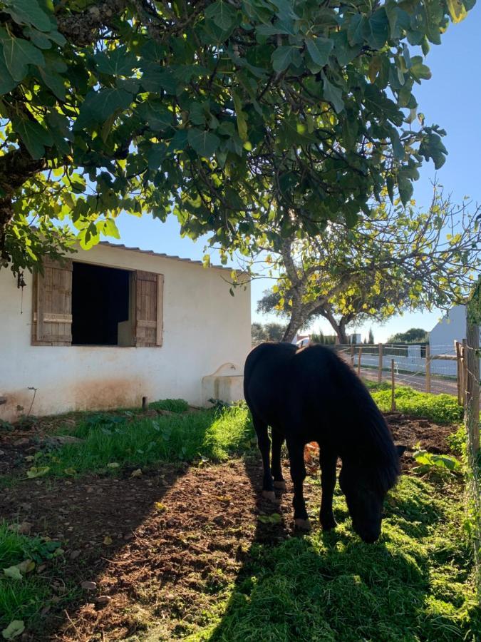 Herdade Da Maridona - Agroturismo Эштремош Экстерьер фото